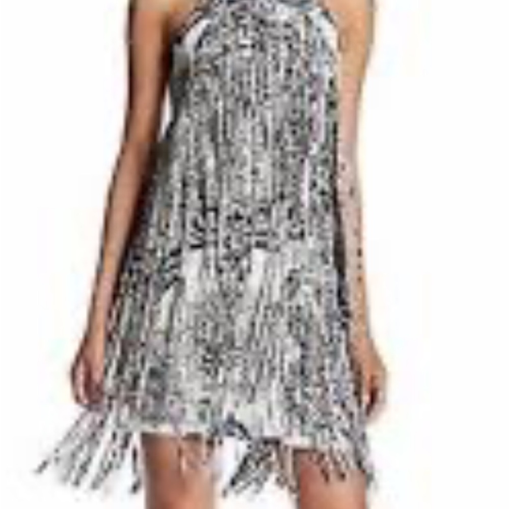 Parker Fringed Silk Mini Dress NWT Size XS Fun and Flirty Lots of Movement!